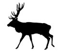 Deer Silhouette Royalty Free Stock Photo