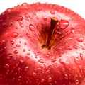 Red delicious apple Royalty Free Stock Photo