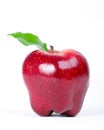 Red Delicious Apple