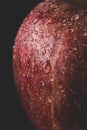 Red delicious apple macro photo with water drops, dark moody photo. Abstract fruit background