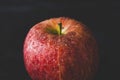 Red delicious apple with water drops, dark moody photo. Abstract fruit background