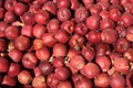 Red Delicious apples