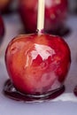 Red delicious candy caramel apples Royalty Free Stock Photo