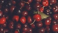 Red delicious cherries as background