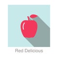 Red Delicious food and drink flat icon series vector illustration