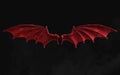 Red Demon Wing Plumage with Clipping Path.