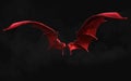 Red Demon Wing Plumage with Clipping Path.