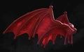 Red Demon Wing Plumage with Clipping Path.