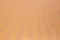 red Desert sand dunes texture pattern red Desert sand dunes texture pattern in summer Royalty Free Stock Photo