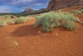 Red Desert Sands Page, Arizona Royalty Free Stock Photo