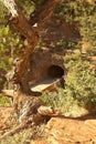 Red Desert, Tunnel Entrance Royalty Free Stock Photo