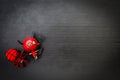 Red devil with red spider on black background Royalty Free Stock Photo