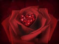 Red Diamond heart on a Rose Flower on background of beautiful red rose petals Royalty Free Stock Photo