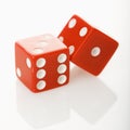 Red dice. Royalty Free Stock Photo