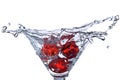 Red Dice falling in the martini glass Royalty Free Stock Photo