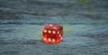 Red dice Royalty Free Stock Photo