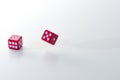 Red dice rolling on a white background Royalty Free Stock Photo