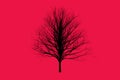 Red die tree color Silhouettes art design