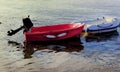 Sailing Dinghies Moored . Isolated