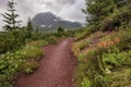 Red Dirt Trail Cuts Through Wildflowers