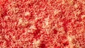 Red dishwashing sponge. textura or background