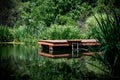 A red dock in a pond with a ladder surrounded by lush greenery