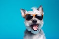 dog portrait glasses pet cute animal smile background funny sunglasses. Generative AI.