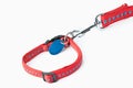 Red dog leash Royalty Free Stock Photo