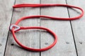 Red dog leash Royalty Free Stock Photo
