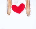 Red dog paws on white snow next to red toy heart. Cute creative greeting card for Valentines Day. German Shepherd congratulates on Royalty Free Stock Photo