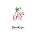 Red dog rose vector icon on white.