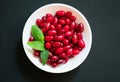 Red dogwood berries in a plate on a black background. View from above.