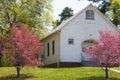 Red Dogwood trees bloom along a little white church. Royalty Free Stock Photo