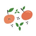 Red doodle cartoon apples set with green leaves and seeds. Colorful tree farm fruits. Royalty Free Stock Photo