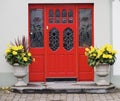 Red Door And Yellow Flowers In Ireland