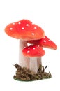 Red dotted decoration mushrooms isolated