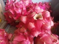 Red dragon fruit hylocereus polyrhizus is sweet and healthy