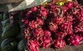 Red dragon fruit with red pulp. Hylocereus costaricensis