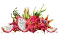 Red dragon fruits wholed half pitahaya with slices and green leaves watercolor illustration. Botanical horizontal banner