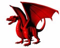 Red dragon on white. Royalty Free Stock Photo