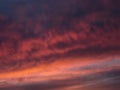 Red dramatic evening cumulus clouds in the sky. Colorful cloudy sky at sunset. Sky texture, abstract nature background Royalty Free Stock Photo