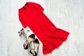 Red dress and black shoes. Fashionable concept Royalty Free Stock Photo