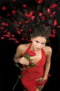 Red dress red rose