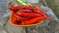 Red dried chili in a bowl with white background. A bowl of moist red chilli peppers Royalty Free Stock Photo