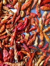 Red dried chilli Royalty Free Stock Photo