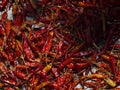 red dried chilli pepper for Thai food Royalty Free Stock Photo