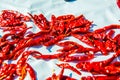 Red dried chilli on white background Royalty Free Stock Photo