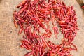 Red dried chilli on threshing basket Royalty Free Stock Photo