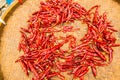 Red dried chilli on threshing basket Royalty Free Stock Photo