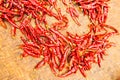 Red dried chilli on threshing basket Royalty Free Stock Photo